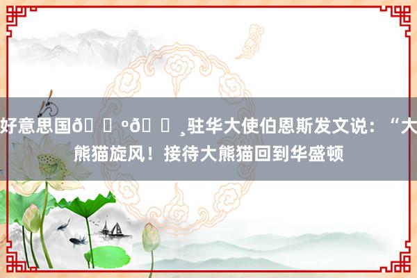 好意思国🇺🇸驻华大使伯恩斯发文说：“大熊猫旋风！接待大熊猫回到华盛顿