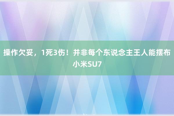 操作欠妥，1死3伤！并非每个东说念主王人能摆布小米SU7