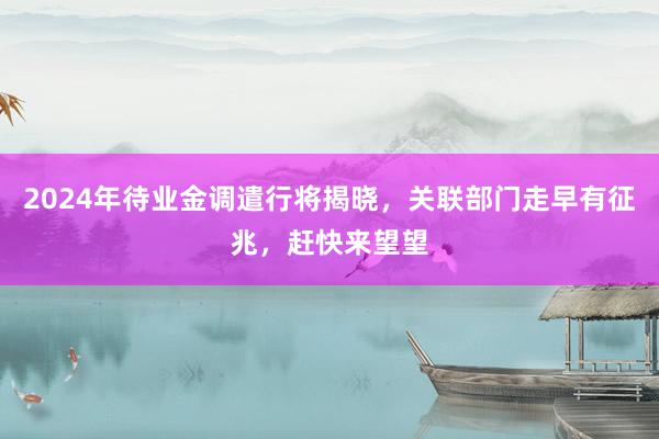 2024年待业金调遣行将揭晓，关联部门走早有征兆，赶快来望望