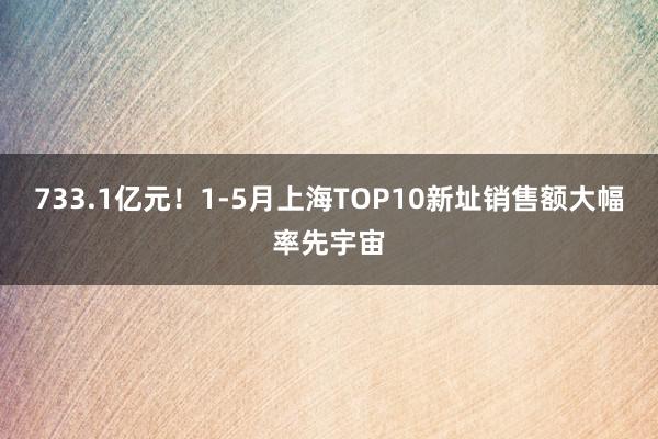 733.1亿元！1-5月上海TOP10新址销售额大幅率先宇宙