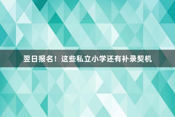 翌日报名！这些私立小学还有补录契机