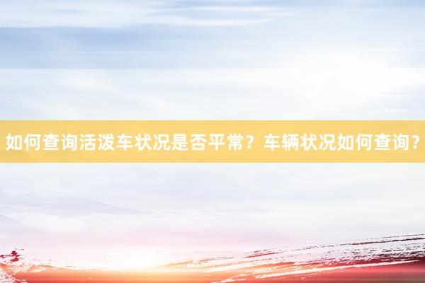 如何查询活泼车状况是否平常？车辆状况如何查询？