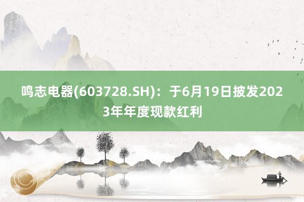 鸣志电器(603728.SH)：于6月19日披发2023年年度现款红利