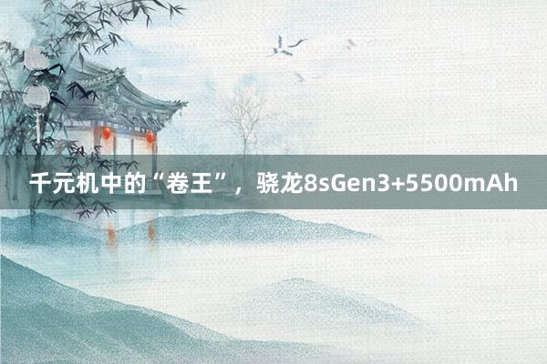 千元机中的“卷王”，骁龙8sGen3+5500mAh