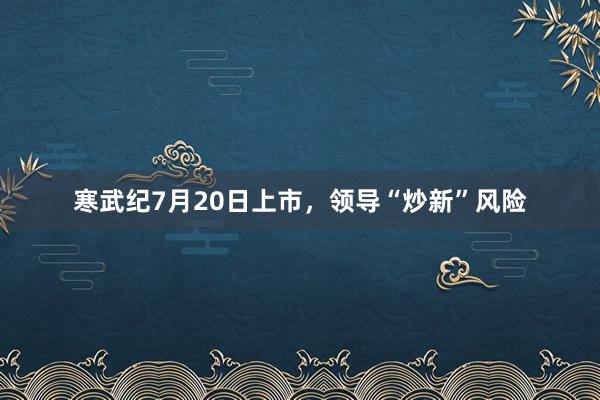 寒武纪7月20日上市，领导“炒新”风险