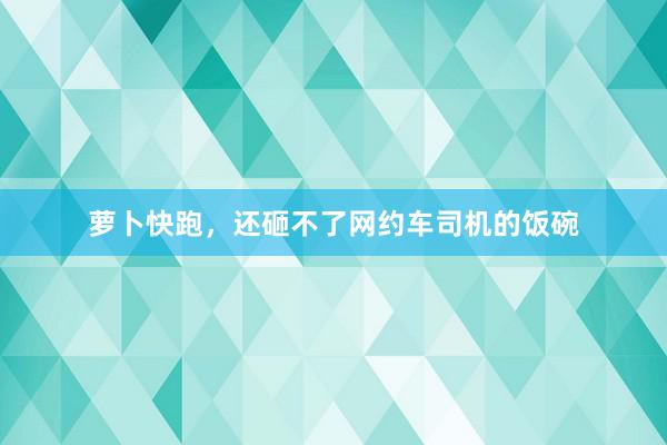 萝卜快跑，还砸不了网约车司机的饭碗