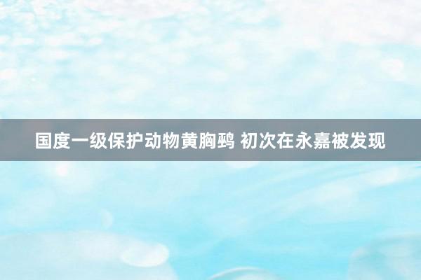 国度一级保护动物黄胸鹀 初次在永嘉被发现