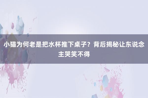 小猫为何老是把水杯推下桌子？背后揭秘让东说念主哭笑不得